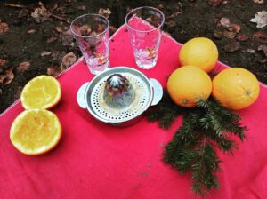 Read more about the article Woher bekommt der Nikolaus eigentlich seine Orangen?