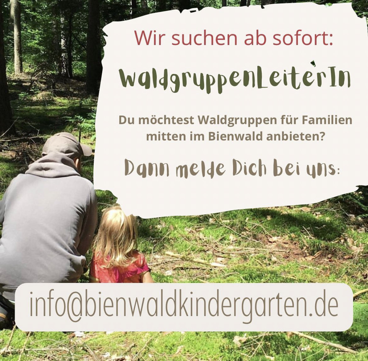 You are currently viewing WaldgruppenLeiterIn gesucht